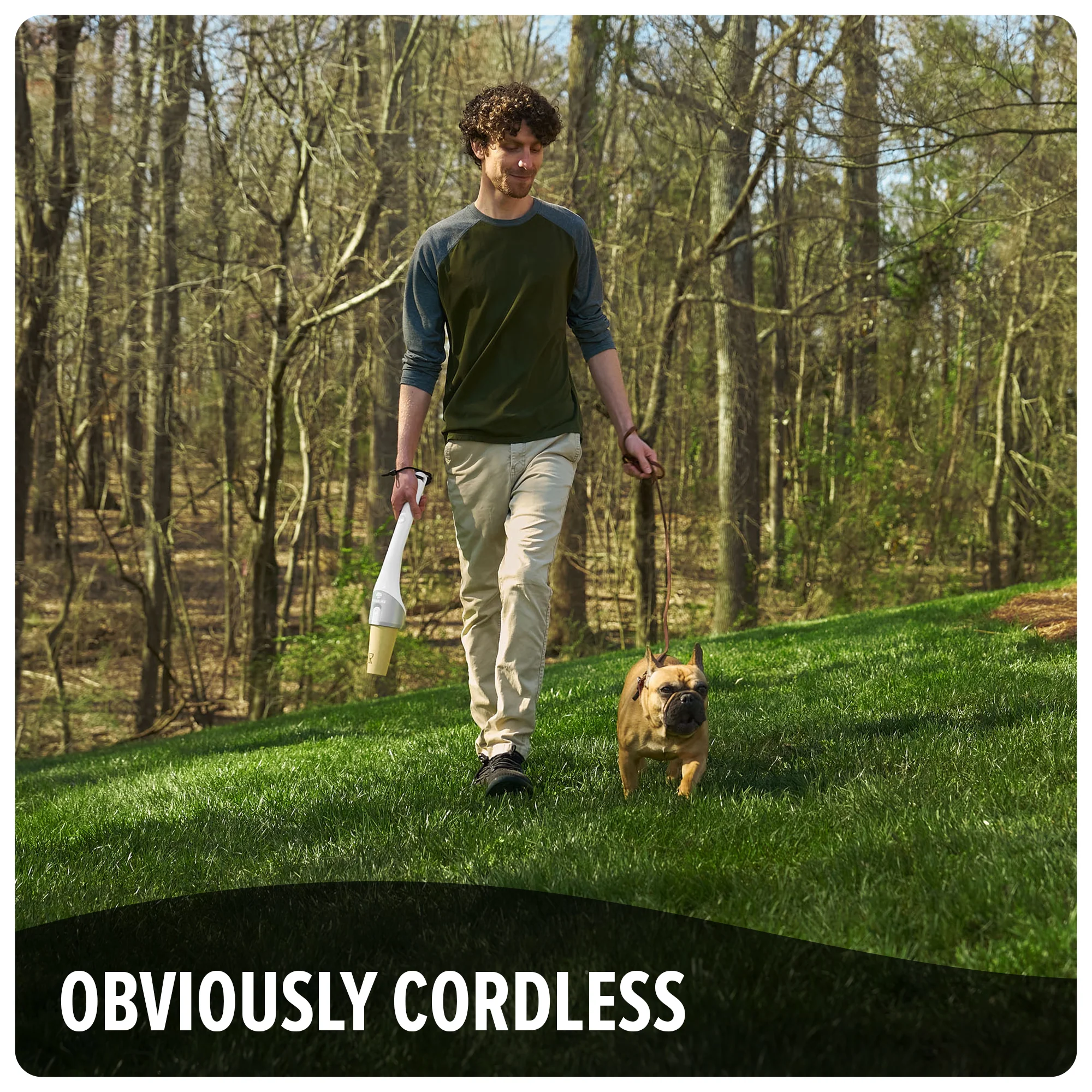 DogWalker - Image 9