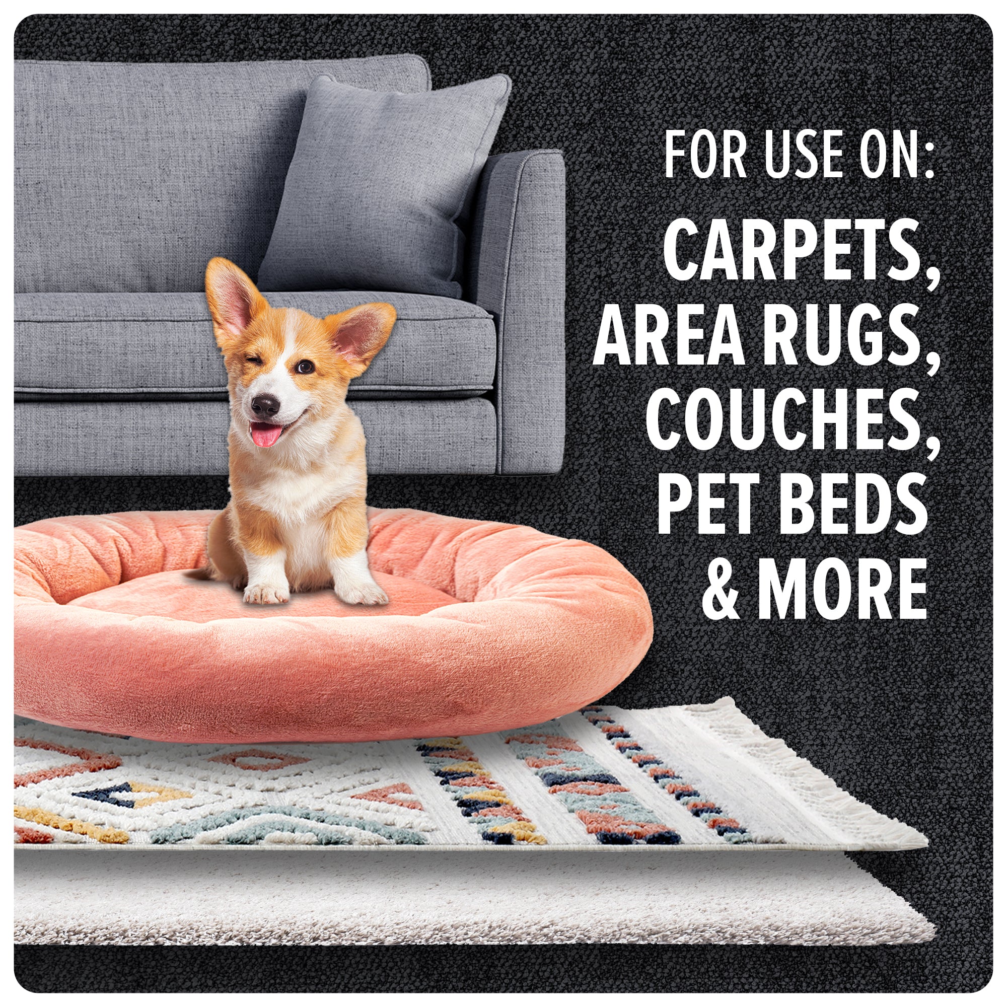 Pet Carpet Powder (4-pack) - Image 5